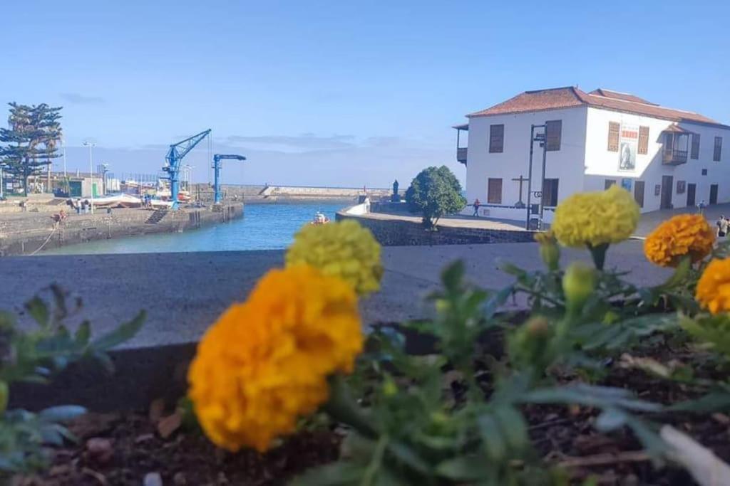 Centrico Y Encantador Estudio En Puerto De La Cruz מראה חיצוני תמונה