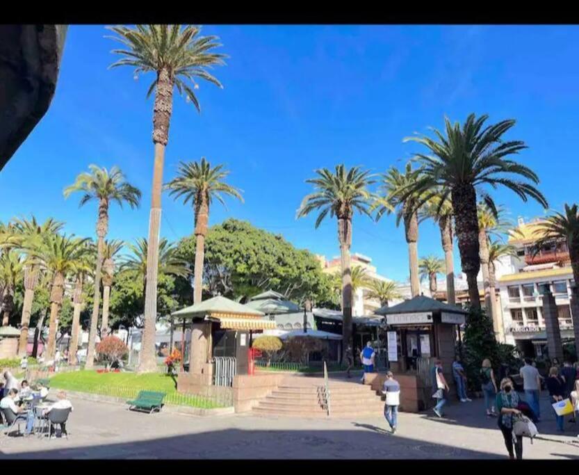 Centrico Y Encantador Estudio En Puerto De La Cruz מראה חיצוני תמונה
